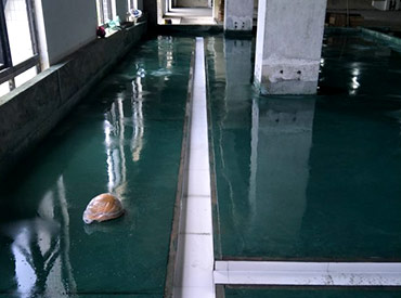 四川蓉錦匯食品有限責任公司