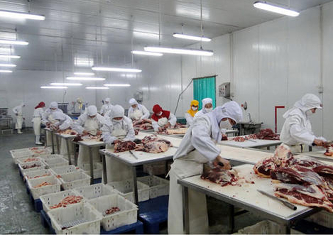 四川聚誠益食品有限公司廠房施工現場