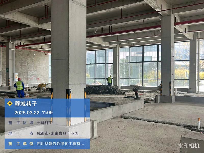 溫江蓉城巷子調味品項目